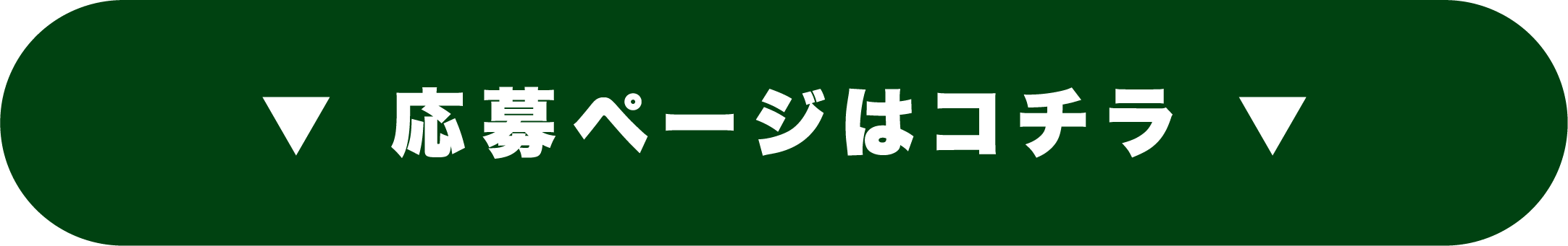 応募ページはコチラ